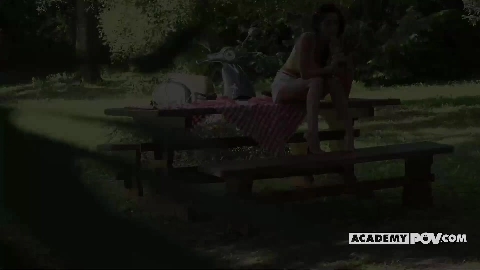 Darcia Lee Picnic Gone Naughty