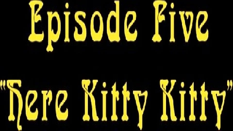 That 70s Ho Here Kitty Kitty - ThatSitcomShow