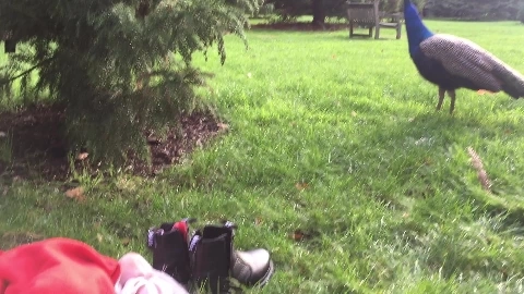 Naughty Cum Picnic In The Park